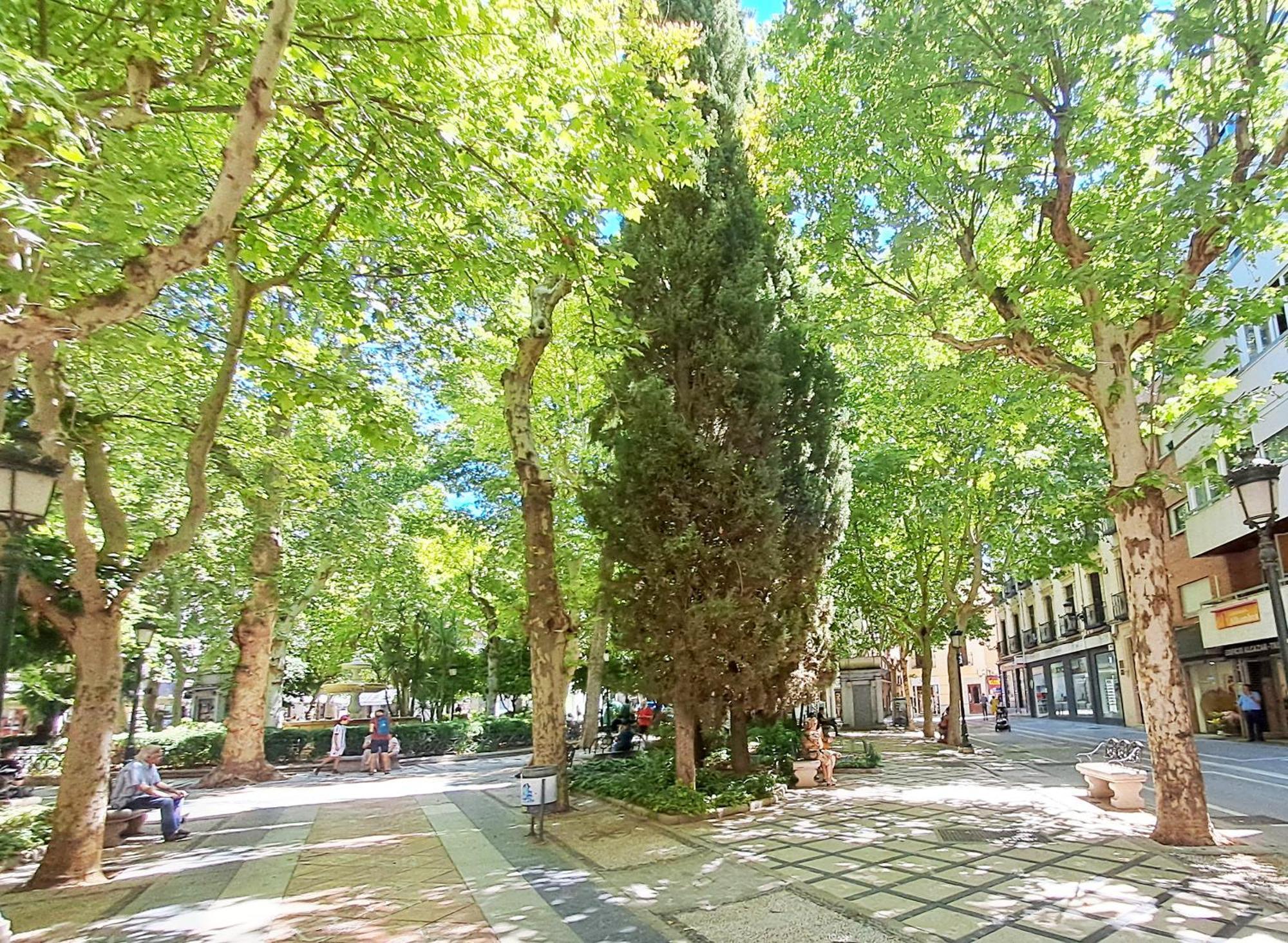 Apartasuite Centro Historico Atico Tranquilo Y Luminoso En El Corazon De Granada Bagian luar foto
