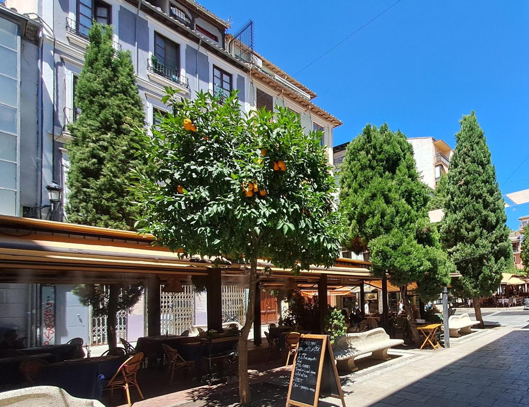 Apartasuite Centro Historico Atico Tranquilo Y Luminoso En El Corazon De Granada Bagian luar foto